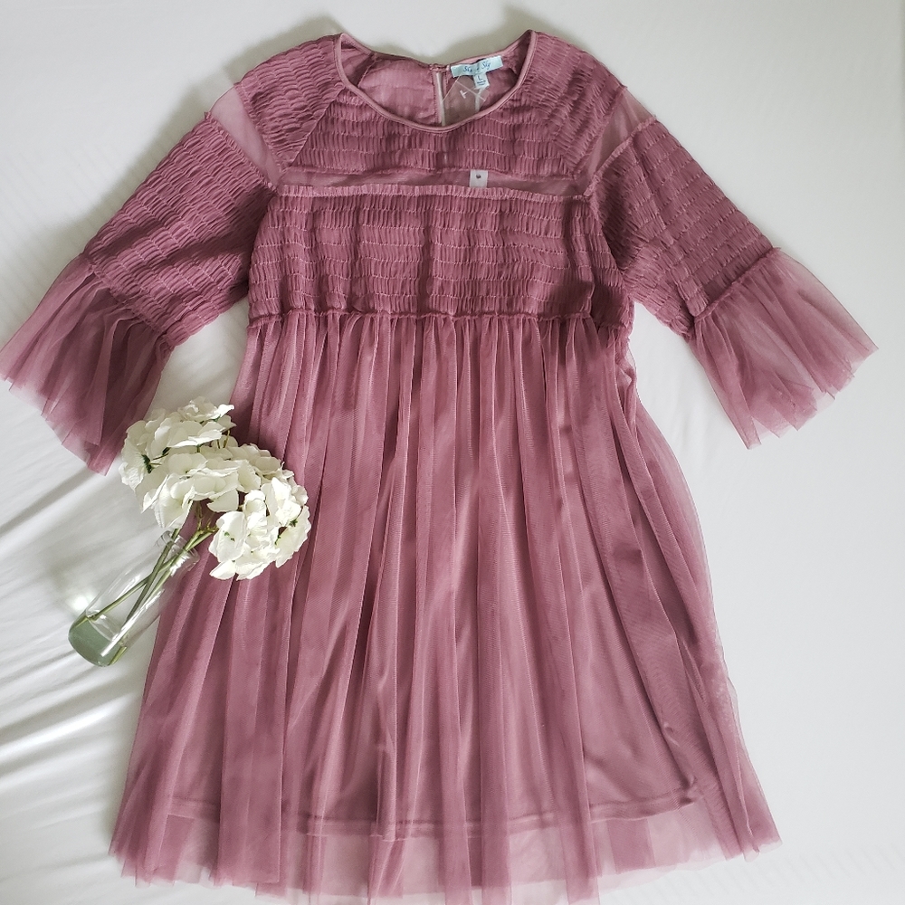 🌟HP🌟 Dusty Rose Tule Dress